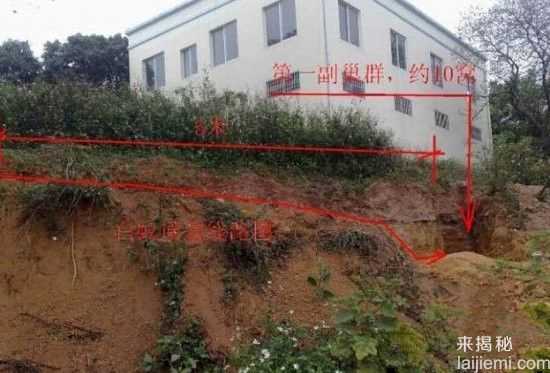 男子挖出巨型蚁穴：活捉30岁蚁后724 / 作者:UFO来啦 / 帖子ID:64981