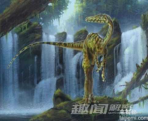 前所未闻！地球上25个奇异的史前生物_1646 / 作者:UFO来啦 / 帖子ID:62414