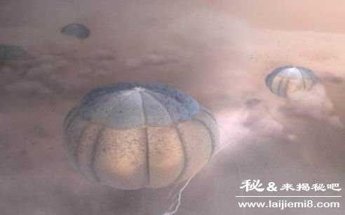 地球上存在着不为人知的生物吗291 / 作者:UFO来啦 / 帖子ID:63066 地球上存在着不为人知的生物吗291 / 作者:UFO来啦 / 帖子ID:63066