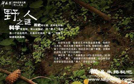 野人之谜神农架野人真的存在吗790 / 作者:UFO来啦 / 帖子ID:65973 野人之谜神农架野人真的存在吗790 / 作者:UFO来啦 / 帖子ID:65973