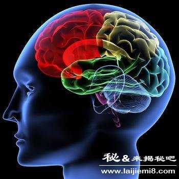 人类智慧从哪里来739 / 作者:UFO来啦 / 帖子ID:62019 人类智慧从哪里来739 / 作者:UFO来啦 / 帖子ID:62019