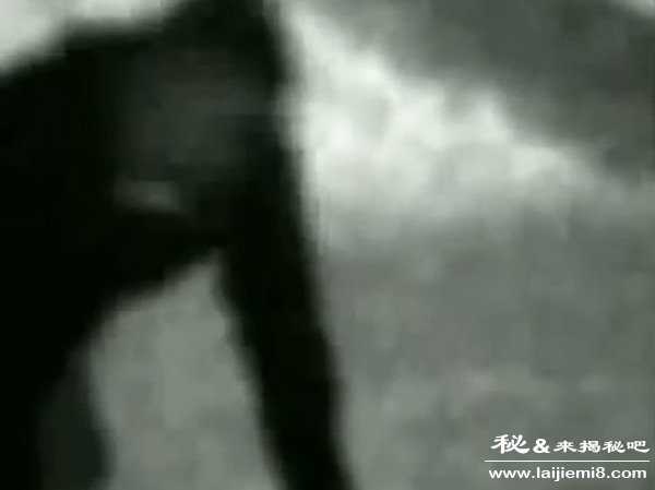 世界上真的有狼人存在吗459 / 作者:UFO来啦 / 帖子ID:61689 世界上真的有狼人存在吗459 / 作者:UFO来啦 / 帖子ID:61689