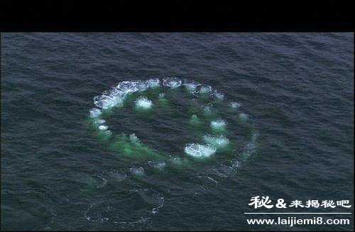 USO幽灵潜艇真的存在吗96 / 作者:UFO来啦 / 帖子ID:61271