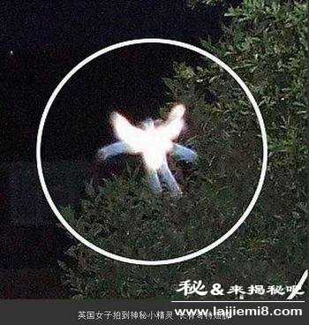 世界离奇事件大全排行榜251 / 作者:UFO来啦 / 帖子ID:61764