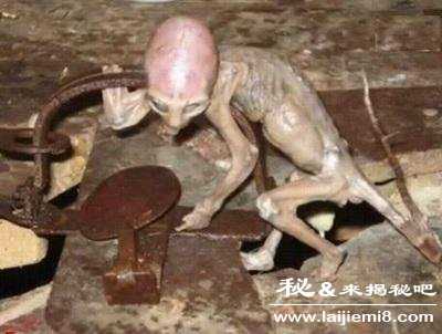 世界离奇事件大全排行榜3 / 作者:UFO来啦 / 帖子ID:61764