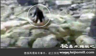 世界离奇事件大全排行榜839 / 作者:UFO来啦 / 帖子ID:61764