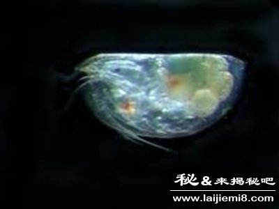时光隧道之谜时光隧道事件是真的吗215 / 作者:UFO来啦 / 帖子ID:64122 时光隧道之谜时光隧道事件是真的吗215 / 作者:UFO来啦 / 帖子ID:64122