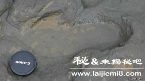 远古人类脚印之谜106 / 作者:UFO来啦 / 帖子ID:65912 远古人类脚印之谜106 / 作者:UFO来啦 / 帖子ID:65912