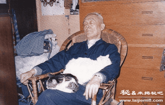 猫跳过死人会借尸还魂诈尸吗133 / 作者:UFO来啦 / 帖子ID:64887 猫跳过死人会借尸还魂诈尸吗133 / 作者:UFO来啦 / 帖子ID:64887