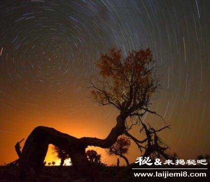 地球生命的起源和进化生命从哪里来的215 / 作者:UFO来啦 / 帖子ID:63251 地球生命的起源和进化生命从哪里来的215 / 作者:UFO来啦 / 帖子ID:63251