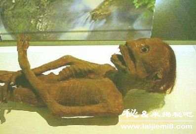 河童是什么真有河童事件吗512 / 作者:UFO来啦 / 帖子ID:64630 河童是什么真有河童事件吗512 / 作者:UFO来啦 / 帖子ID:64630
