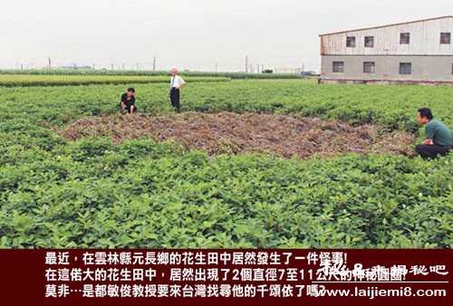 台湾出现神秘焦黑麦田怪圈356 / 作者:UFO外星人爱好者 / 帖子ID:58839 台湾出现神秘焦黑麦田怪圈356 / 作者:UFO外星人爱好者 / 帖子ID:58839
