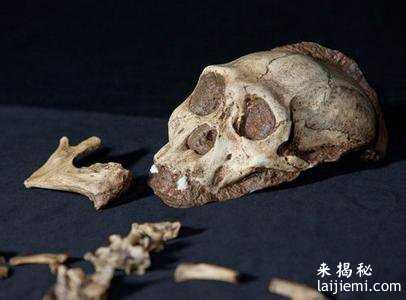 1921年北京西城发现8具3米高的史前人类骨骼_1671 / 作者:UFO来啦 / 帖子ID:61113