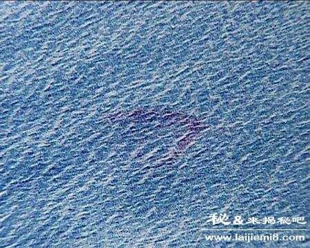 湛江湖光岩水怪之谜揭秘396 / 作者:UFO来啦 / 帖子ID:64748 湛江湖光岩水怪之谜揭秘396 / 作者:UFO来啦 / 帖子ID:64748