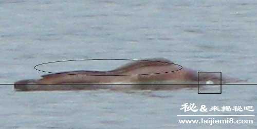 湛江湖光岩水怪之谜揭秘349 / 作者:UFO来啦 / 帖子ID:64748 湛江湖光岩水怪之谜揭秘349 / 作者:UFO来啦 / 帖子ID:64748