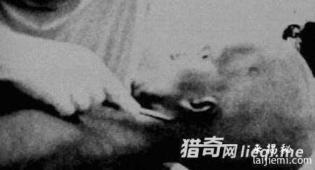 骇人消息：美捕获UFO 杀光所有外星人856 / 作者:UFO外星人爱好者 / 帖子ID:57566