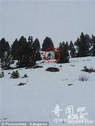 无意间拍到传说中的雪人,这是真的吗?896 / 作者:UFO外星人爱好者 / 帖子ID:59563 无意间拍到传说中的雪人,这是真的吗?896 / 作者:UFO外星人爱好者 / 帖子ID:59563