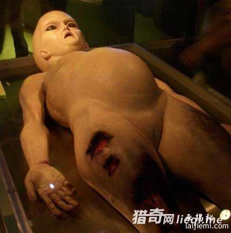 神秘六指外星人：3米高蓝眼睛大牙齿686 / 作者:UFO外星人爱好者 / 帖子ID:57564