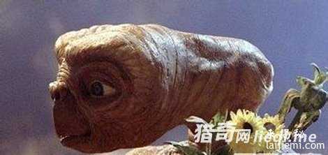 调查显示半数人不怕外星人造访219 / 作者:UFO来啦 / 帖子ID:60912