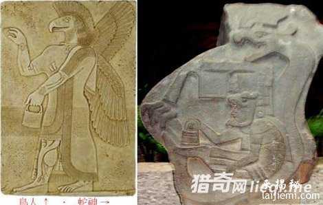 曝外星人真实存在惊人迹象22 / 作者:UFO来啦 / 帖子ID:61048