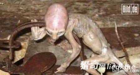 9大惊天证据证实外星人存在320 / 作者:UFO外星人爱好者 / 帖子ID:57392
