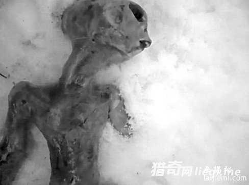 盘点近年来UFO事件 揭秘外星文明984 / 作者:UFO来啦 / 帖子ID:60830