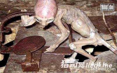 盘点近年来UFO事件 揭秘外星文明905 / 作者:UFO来啦 / 帖子ID:60830