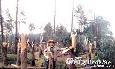 外星飞船万年前坠毁在中国西部679 / 作者:UFO来啦 / 帖子ID:60900