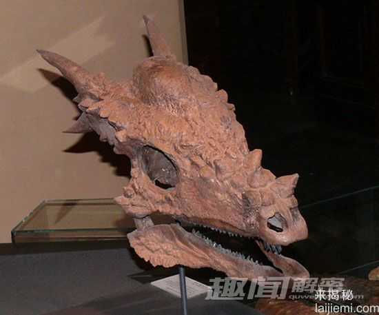 史前十种怪异恐龙：嗜血热河翼龙85 / 作者:UFO来啦 / 帖子ID:62725