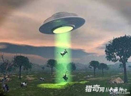 美国惊现外星人肢解牲畜！波及15个州218 / 作者:UFO外星人爱好者 / 帖子ID:57316