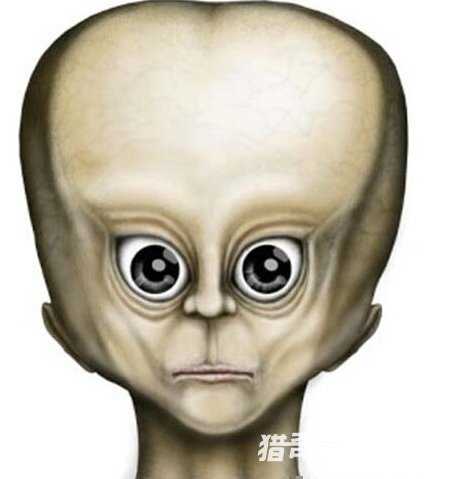 奇异头骨：外星人曾与人类交配铁证！499 / 作者:UFO来啦 / 帖子ID:60945