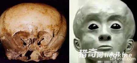 奇异头骨：外星人曾与人类交配铁证！58 / 作者:UFO来啦 / 帖子ID:60945