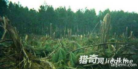 UFO贯穿古今 外星人一直监视中国249 / 作者:UFO外星人爱好者 / 帖子ID:57601