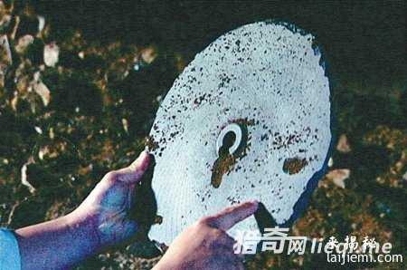 男子曝惊人一语：中国已秘密捕获飞碟342 / 作者:UFO外星人爱好者 / 帖子ID:60763