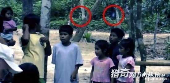 游客丛林冒险，竟意外拍摄到外星人245 / 作者:UFO外星人爱好者 / 帖子ID:57335