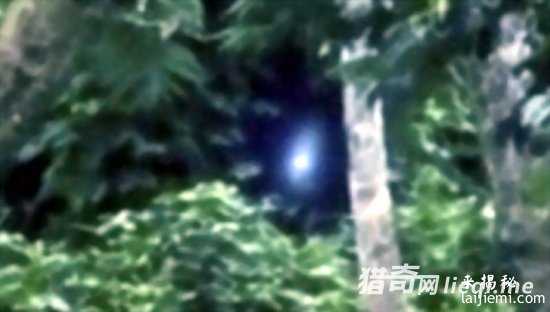 游客丛林冒险，竟意外拍摄到外星人447 / 作者:UFO外星人爱好者 / 帖子ID:57335