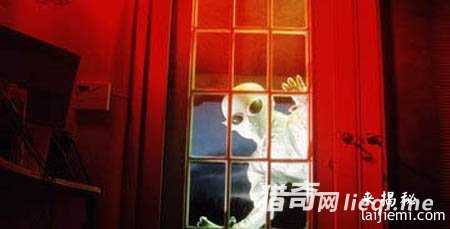 外星人藏身地球，绑架人类做实验176 / 作者:UFO外星人爱好者 / 帖子ID:57346