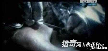 外星人藏身地球，绑架人类做实验194 / 作者:UFO外星人爱好者 / 帖子ID:57346