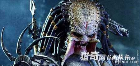 不可思议头骨，证明外星人存在？56 / 作者:UFO外星人爱好者 / 帖子ID:57359