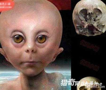 不可思议头骨，证明外星人存在？740 / 作者:UFO外星人爱好者 / 帖子ID:57359