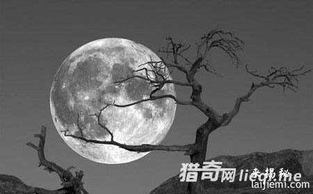 地球惊天作用：外星人囚禁人类的监狱426 / 作者:UFO外星人爱好者 / 帖子ID:57344