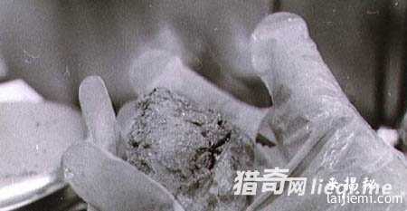 地球惊天作用：外星人囚禁人类的监狱844 / 作者:UFO外星人爱好者 / 帖子ID:57344