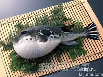 餐桌上常见的10大有毒的食物：马铃薯排第一494 / 作者:UFO来啦 / 帖子ID:66170