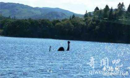 这二十五个超诡异的自然现象科学家至今无解464 / 作者:UFO来啦 / 帖子ID:65895