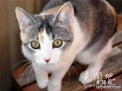 这二十五个超诡异的自然现象科学家至今无解482 / 作者:UFO来啦 / 帖子ID:65895