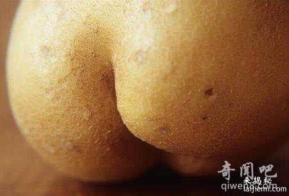 江西挖出巨型葛根，揭秘葛根神奇药用功效 盘点世界上那些“成精”179 / 作者:UFO来啦 / 帖子ID:64613