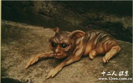 人面犬真实存在于美国，人面狗传言揭秘655 / 作者:UFO来啦 / 帖子ID:62042