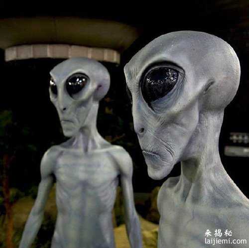 为什么男人比女人更相信外星人？_1125 / 作者:UFO来啦 / 帖子ID:61008