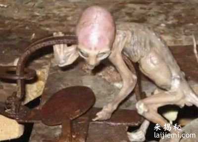 墨西哥农场内惊现神秘活的外星人宝宝749 / 作者:UFO外星人爱好者 / 帖子ID:57509