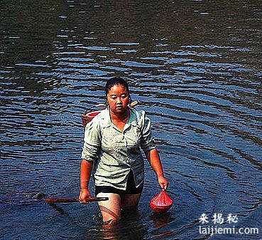 长沙市民拍到外星人706 / 作者:UFO外星人爱好者 / 帖子ID:57563